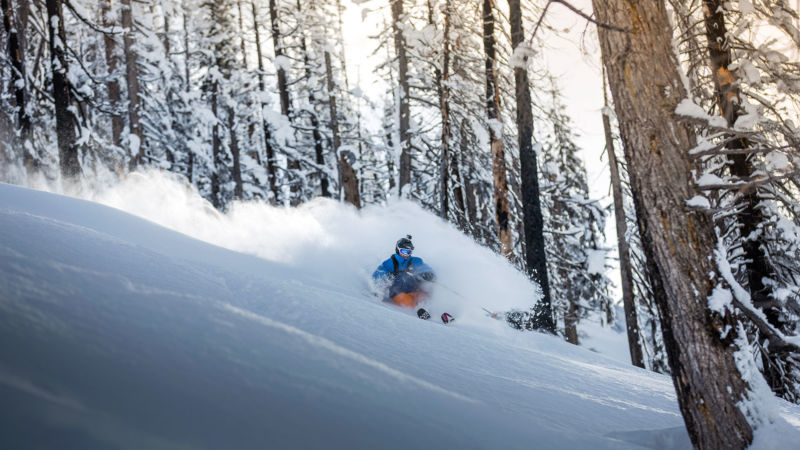 Gothics ski de forêt