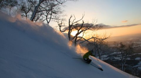 Ski guidé Japon