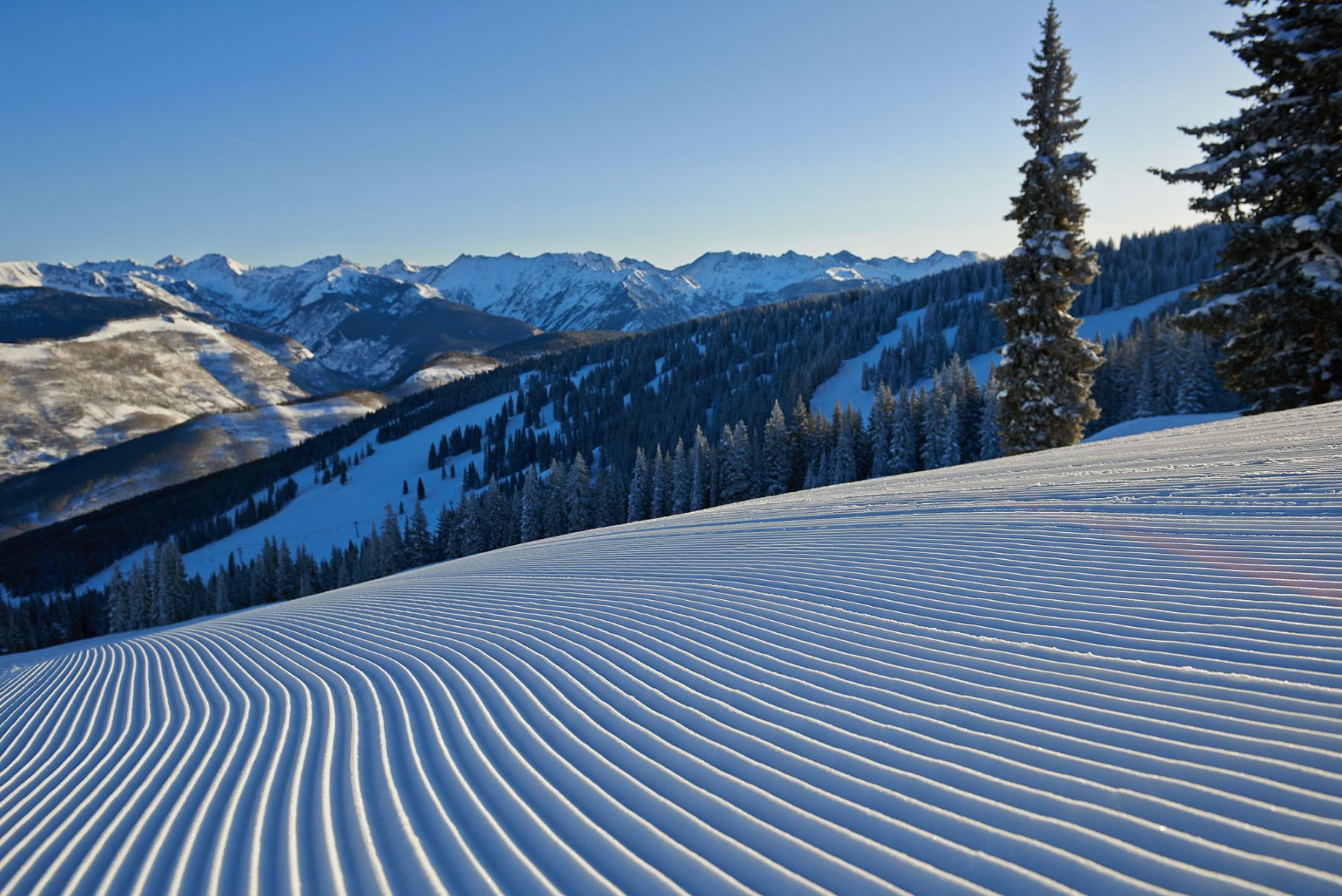 Ski Vail Colorado - voyage Destination Poudreuse