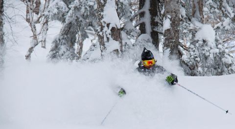 Ski Freeride Japon