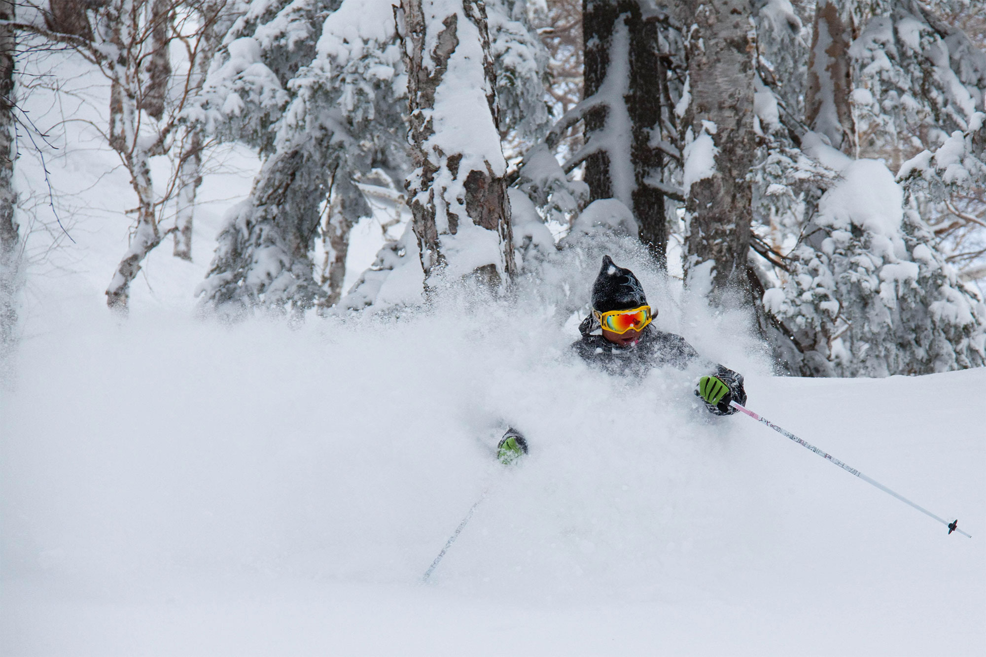 Ski freeride Niseko, Hokkaido Japon - Destination Poudreuse