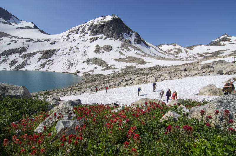 hikers-crossing-a-snowpatch-bugaboos-lyle-grisedale-1024x678