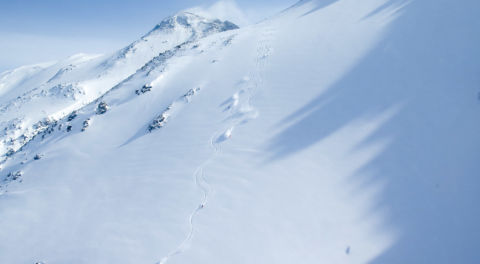 Héliski Kamchatka