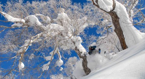 Backcountry Furano