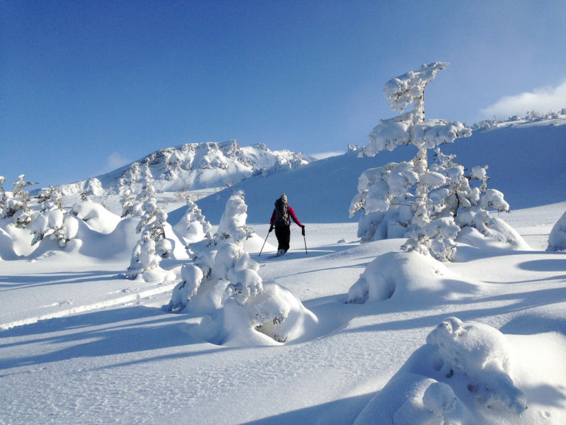 Backcountry Furano Hokkaido