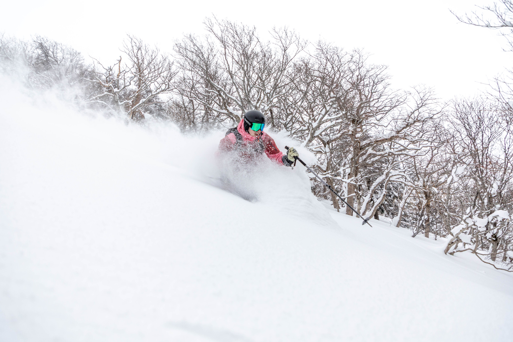 japow destination Poudreuse
