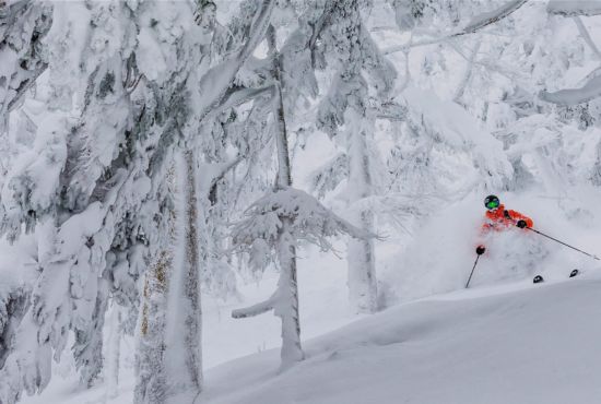 Freeski Furano