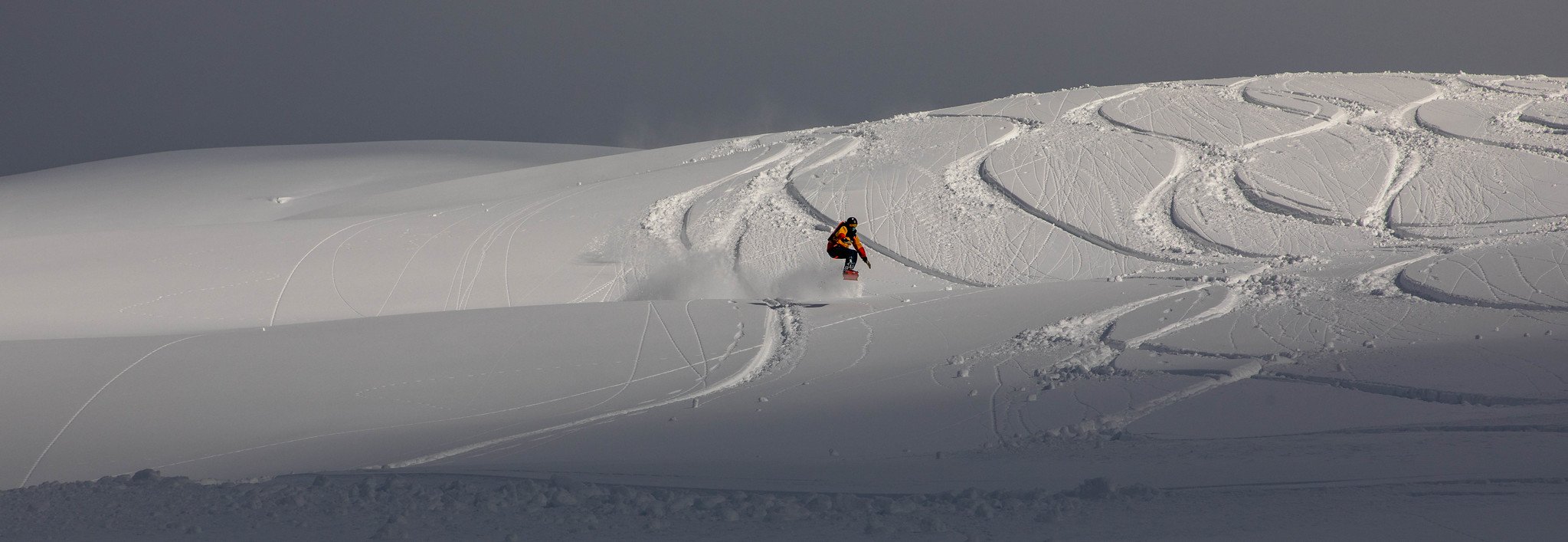 Snowboard en poudreuse