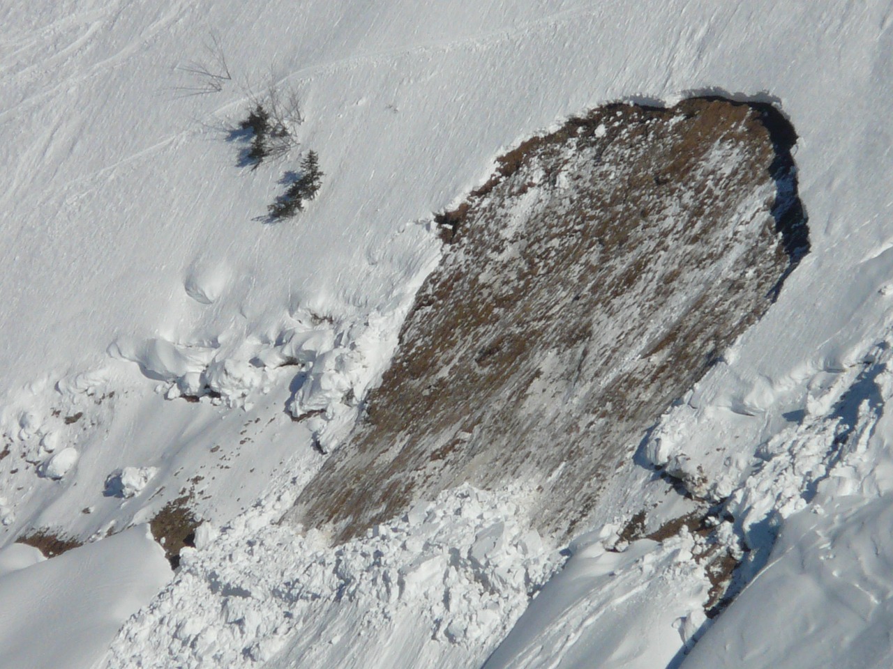 avalanche de plaque