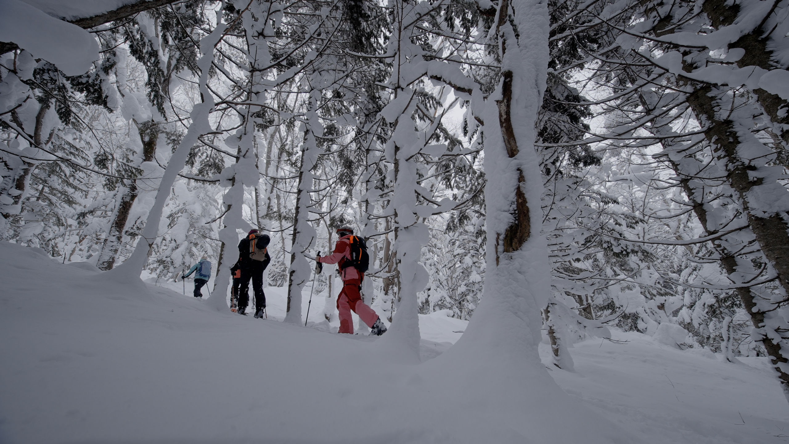 Montée en ski de randonnée au Japon