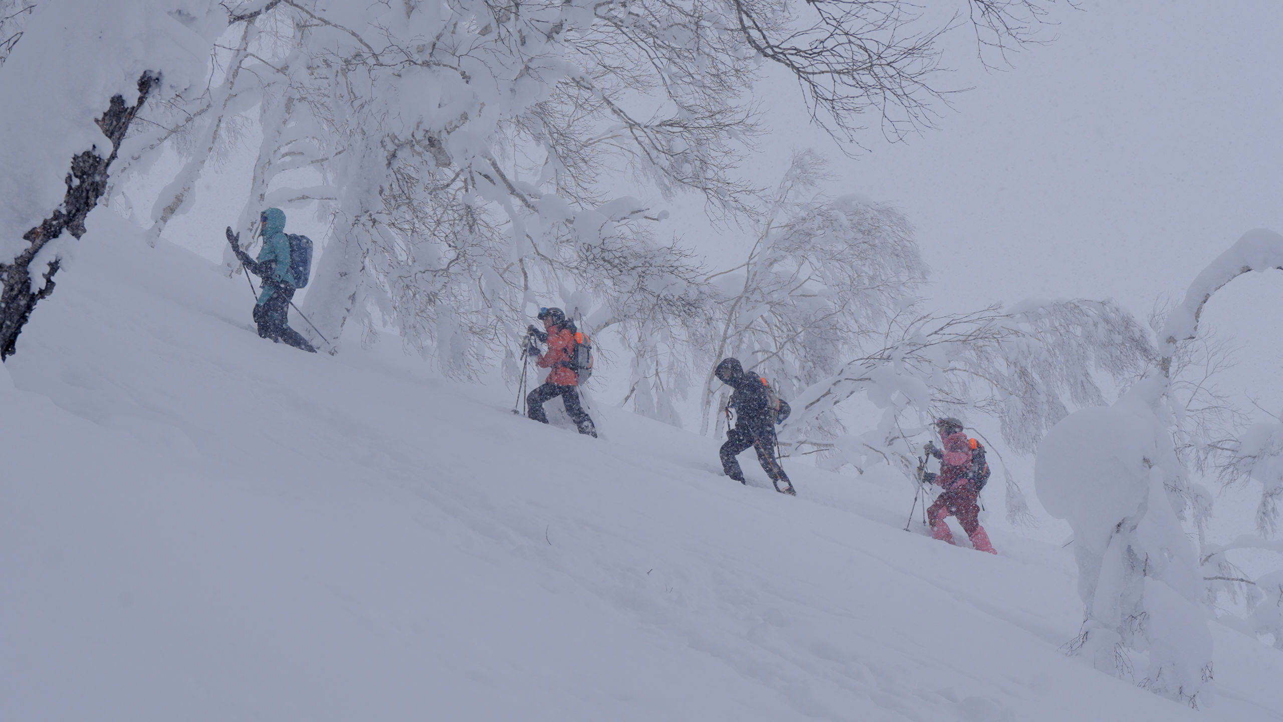 Séjour ski Japon